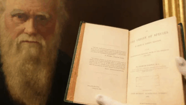 Il y a 166 ans sortait un des livres les plus importants de l'Histoire de l'Humanité et le 24 novembre lui est dédié : L'Origine des espèces de Charles Darwin