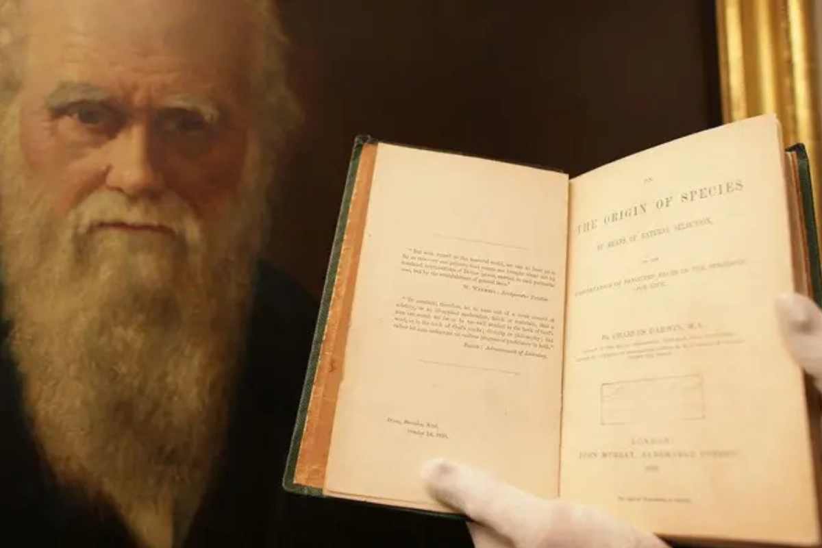 Il y a 166 ans sortait un des livres les plus importants de l'Histoire de l'Humanité et le 24 novembre lui est dédié : L'Origine des espèces de Charles Darwin