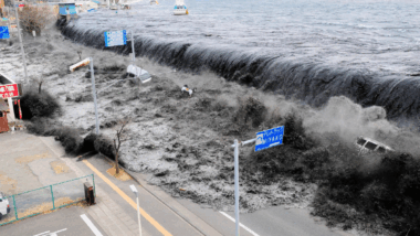 Une histoire touchante est à l'origine de la journée mondiale des tsunamis qui a lieu tous les 5 novembre