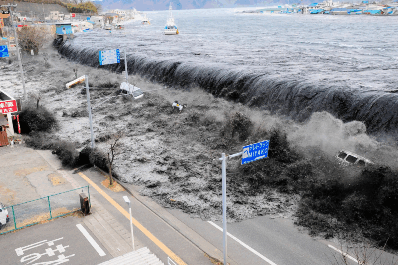 Une histoire touchante est à l'origine de la journée mondiale des tsunamis qui a lieu tous les 5 novembre
