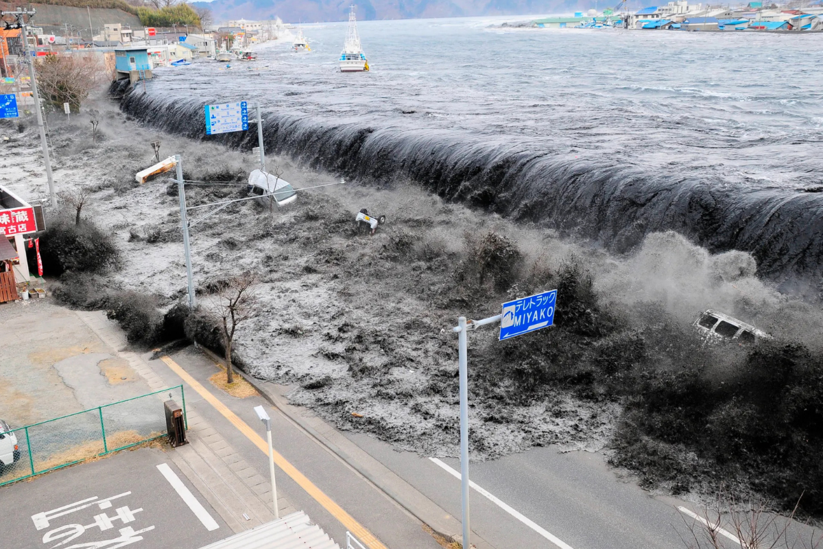 Une histoire touchante est à l'origine de la journée mondiale des tsunamis qui a lieu tous les 5 novembre