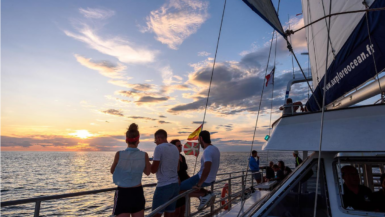 Pour Noël, pourquoi ne pas offrir un voyage inoubliable au milieu des dauphins ? Ce catamaran propose une excursion unique en son genre en France