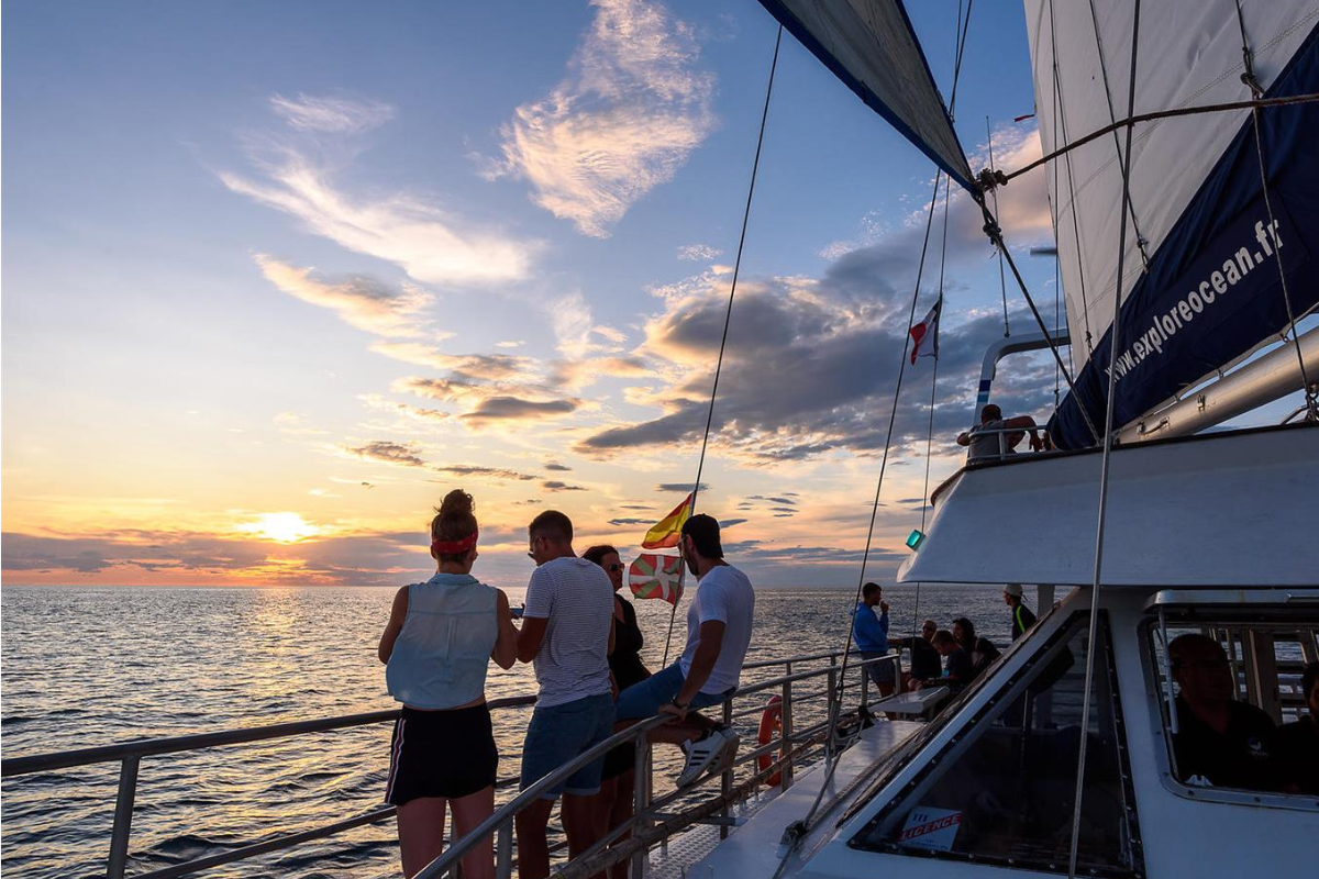Pour Noël, pourquoi ne pas offrir un voyage inoubliable au milieu des dauphins ? Ce catamaran propose une excursion unique en son genre en France