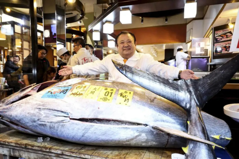 Le record mondial de prix pour un poisson vient d'être encore battu par le Japon avec 2,8 millions d'euros pour 242 kilos soit 11 500 € le kilo de thon rouge
