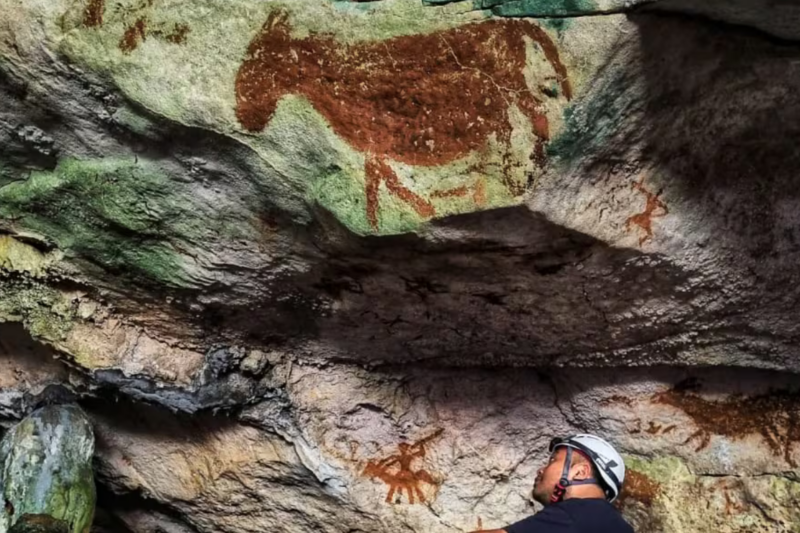 Les grottes de Lascaux ne sont que des &laquo; b&eacute;b&eacute;s &raquo; &agrave; c&ocirc;t&eacute; de cette d&eacute;couverte de 68 000 ans en Indon&eacute;sie des plus anciennes peintures rupestres du monde