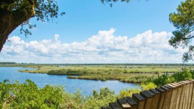 1 035 km² de nature protégée face à l'Atlantique