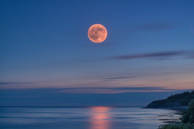 La Lune rouge cuivr&eacute;e lors d&rsquo;une &eacute;clipse lunaire totale